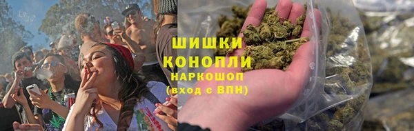 ГАЛЛЮЦИНОГЕННЫЕ ГРИБЫ Абаза