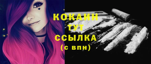 ГАЛЛЮЦИНОГЕННЫЕ ГРИБЫ Абаза