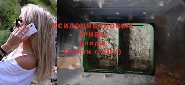 бошки Абдулино