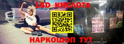 spice Новозыбков