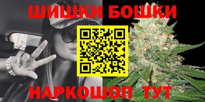spice Новозыбков