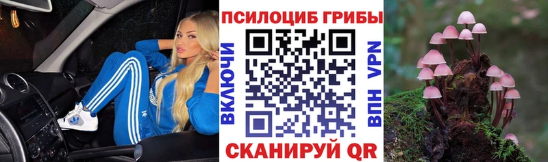 Галлюциногенные грибы Psilocybe  что такое наркотик  Урус-Мартан 