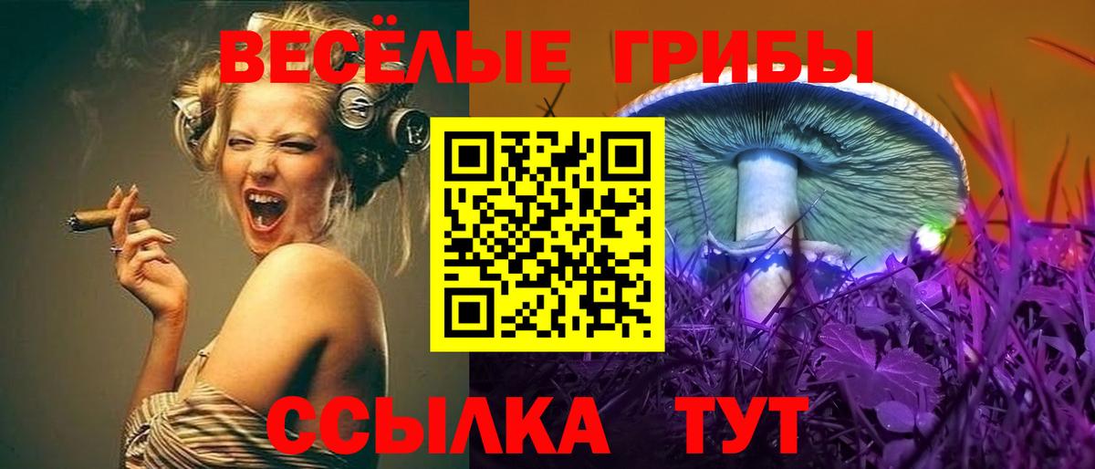 Урус-Мартан  Псилоцибиновые грибы мицелий  Вход с VPN 