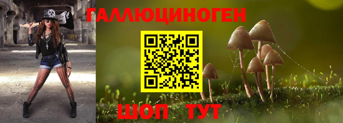 Псилоцибиновые грибы GOLDEN TEACHER Урус-Мартан